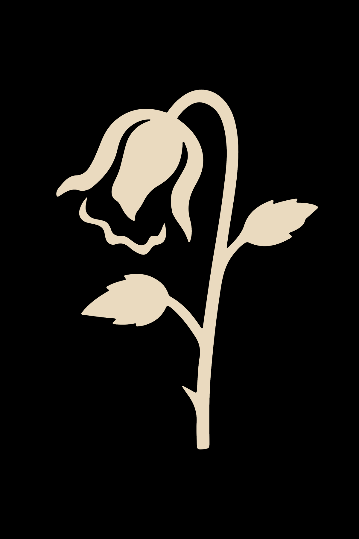 Tous nos Produits